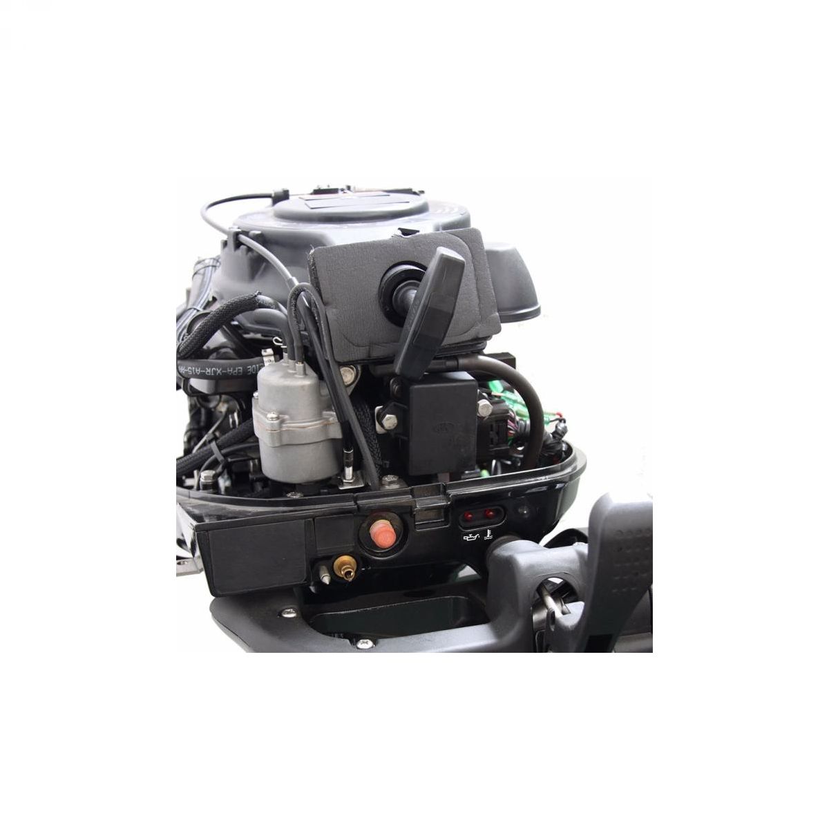 PARSUN F20 ABMS vanbrodski motor