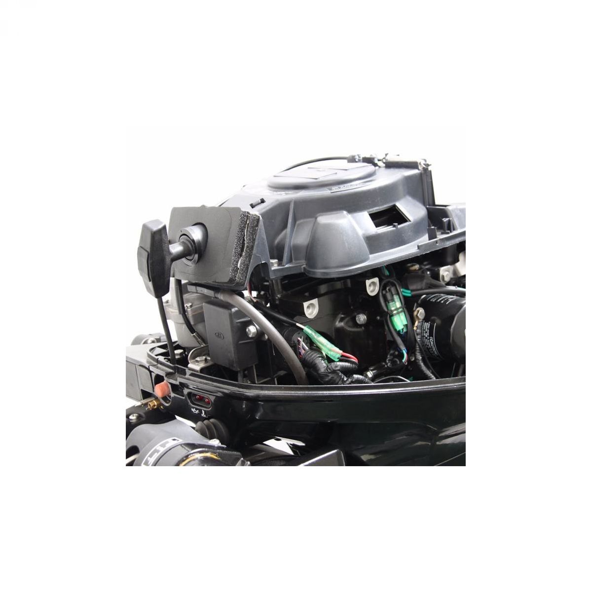 PARSUN F20 ABMS vanbrodski motor