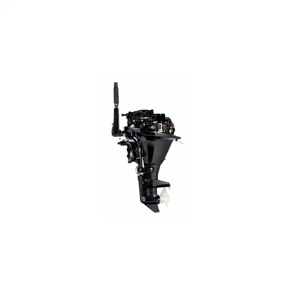 PARSUN F15 ABML-EFI vanbrodski motor