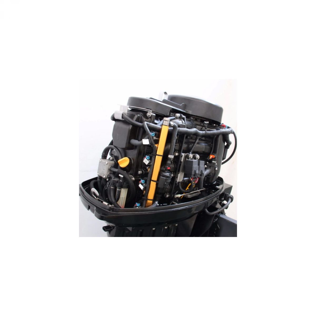 PARSUN F60 FEL-T-EFI vanbrodski motor