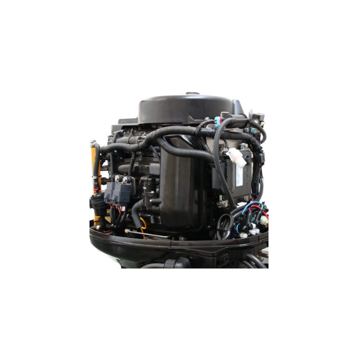 PARSUN F40 FWL-T-EFI vanbrodski motor