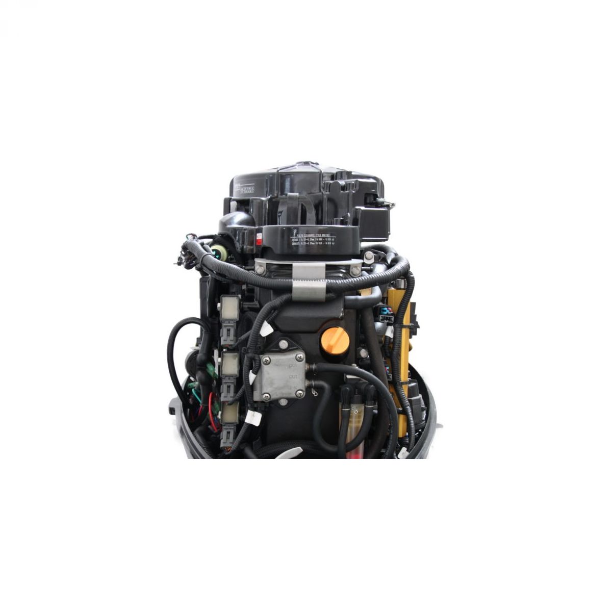 PARSUN F40 FEL-T-EFI vanbrodski motor