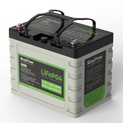 RoyPow S1230 12V 30Ah LiFePO4 baterija deep cycle