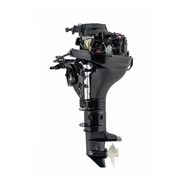 PARSUN F9.8 BMS vanbrodski motor