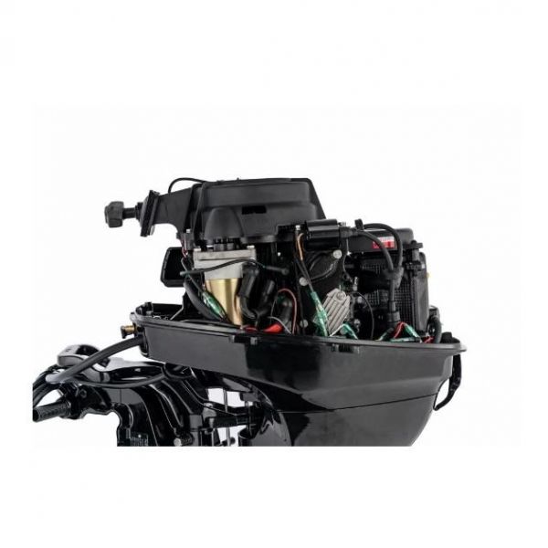 PARSUN F9.8 BMS vanbrodski motor