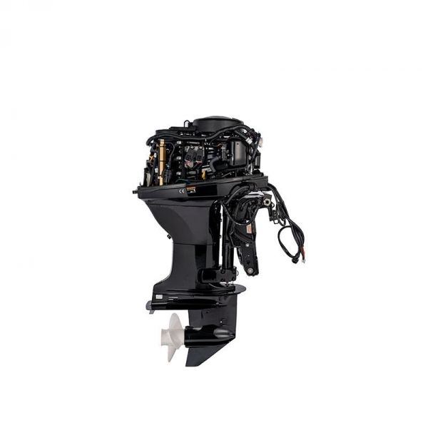 PARSUN F40 FEL-T-EFI vanbrodski motor