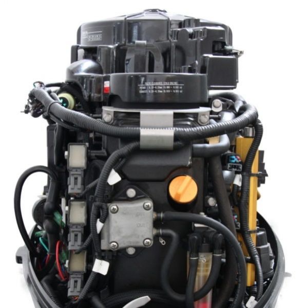 PARSUN F40 FEL-T-EFI vanbrodski motor