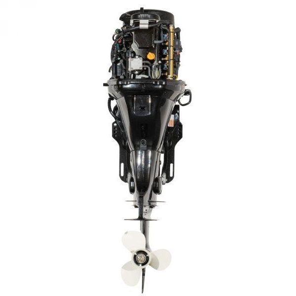 PARSUN F60 FEL-T-EFI vanbrodski motor