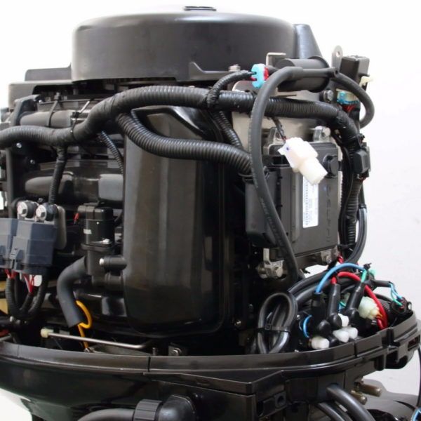 PARSUN F60 FEL-T-EFI vanbrodski motor