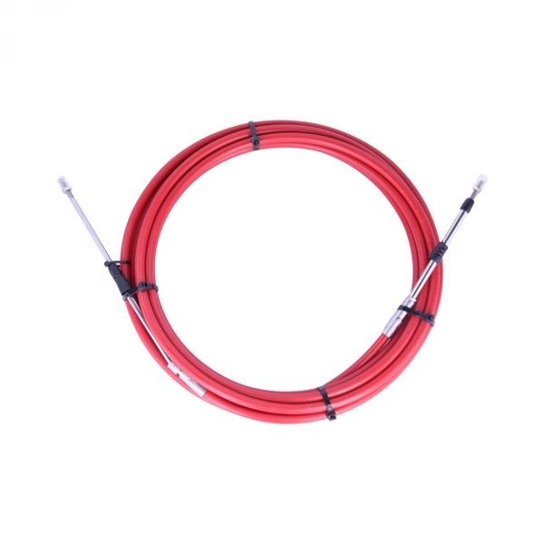 PARSUN F40 FEL-T-EFI vanbrodski motor