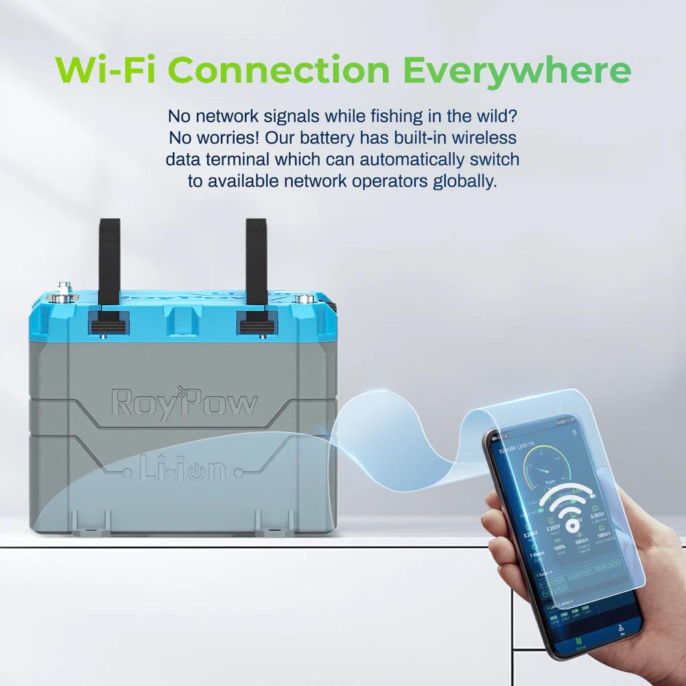 Caricabatteria RoyPow LiFePO4 14.4V 3A Per Batterie Litio 12V - Con Clip Coccodrillo E Terminali - Foto 13